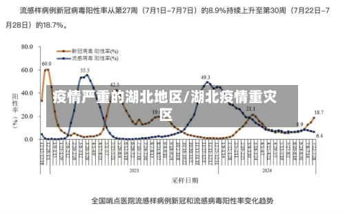疫情严重的湖北地区/湖北疫情重灾区-第2张图片
