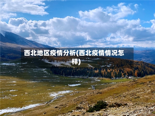 西北地区疫情分析(西北疫情情况怎样)