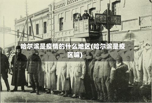 哈尔滨是疫情的什么地区(哈尔滨是疫区嘛)