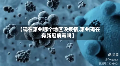 【现在惠州哪个地区没疫情,惠州现在有新冠病毒吗】-第3张图片