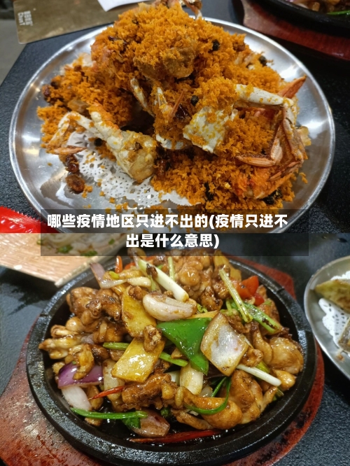 哪些疫情地区只进不出的(疫情只进不出是什么意思)-第3张图片