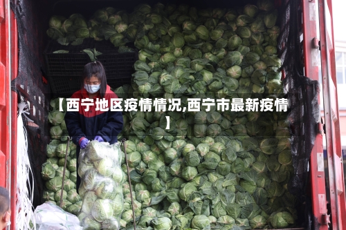 【西宁地区疫情情况,西宁市最新疫情】