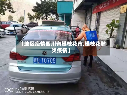 【地区疫情四川省攀枝花市,攀枝花肺炎疫情】-第2张图片
