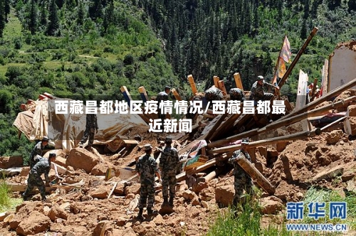 西藏昌都地区疫情情况/西藏昌都最近新闻-第3张图片