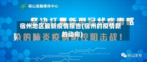 宿州地区最新疫情报告(宿州的疫情新的动向)-第2张图片