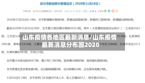 山东疫情各地区最新消息/山东疫情最新消息分布图2020-第2张图片