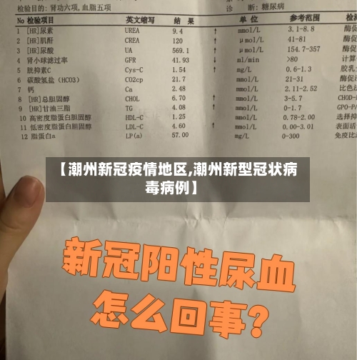 【潮州新冠疫情地区,潮州新型冠状病毒病例】