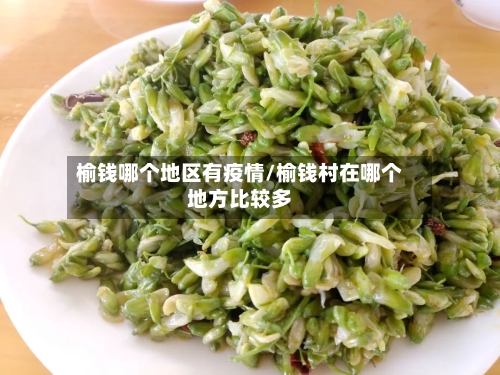 榆钱哪个地区有疫情/榆钱村在哪个地方比较多