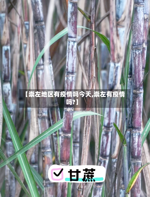 【崇左地区有疫情吗今天,崇左有疫情吗?】