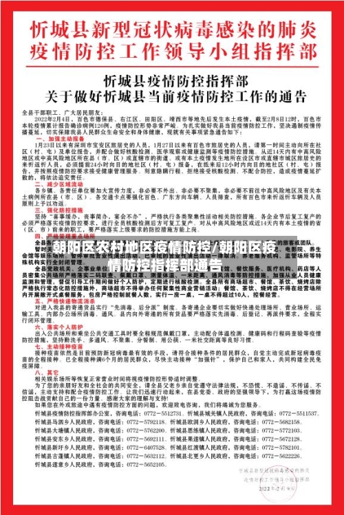 朝阳区农村地区疫情防控/朝阳区疫情防控指挥部通告-第2张图片