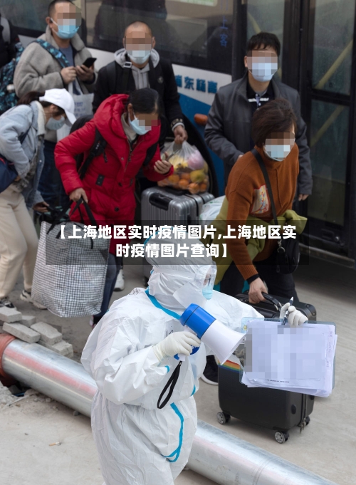 【上海地区实时疫情图片,上海地区实时疫情图片查询】-第2张图片