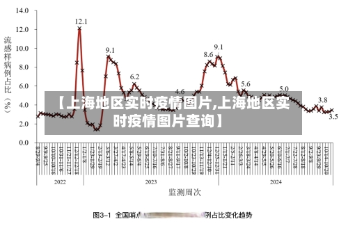 【上海地区实时疫情图片,上海地区实时疫情图片查询】