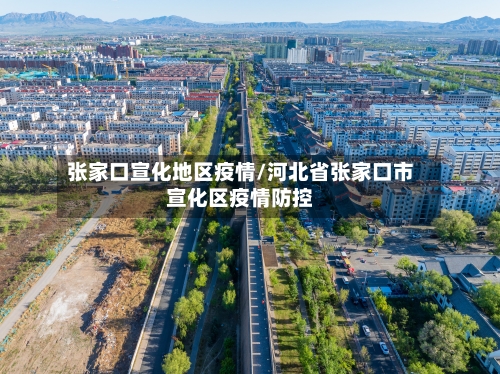 张家口宣化地区疫情/河北省张家口市宣化区疫情防控