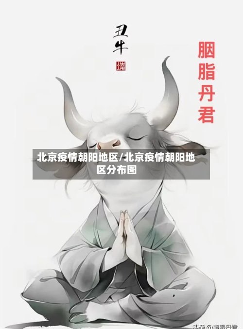 北京疫情朝阳地区/北京疫情朝阳地区分布图-第3张图片
