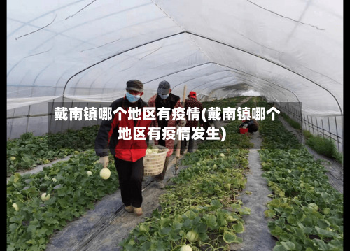 戴南镇哪个地区有疫情(戴南镇哪个地区有疫情发生)-第3张图片