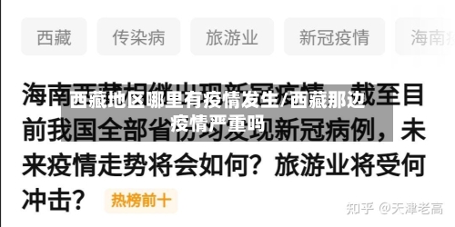 西藏地区哪里有疫情发生/西藏那边疫情严重吗-第3张图片