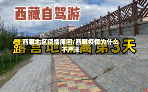 西藏地区疫情原因/西藏疫情为什么不严重-第3张图片