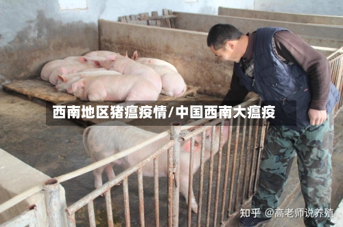 西南地区猪瘟疫情/中国西南大瘟疫