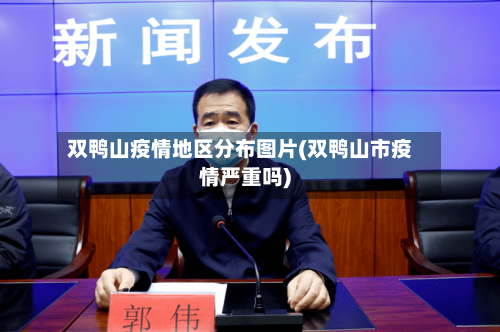 双鸭山疫情地区分布图片(双鸭山市疫情严重吗)-第2张图片