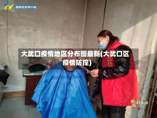 大武口疫情地区分布图最新(大武口区疫情防控)-第2张图片