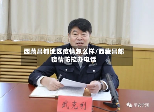 西藏昌都地区疫情怎么样/西藏昌都疫情防控办电话-第2张图片