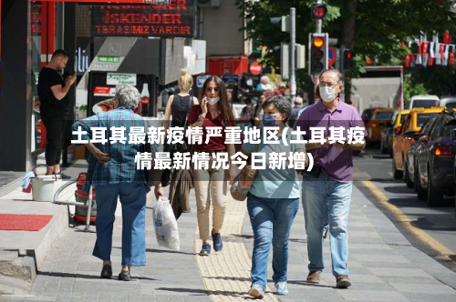 土耳其最新疫情严重地区(土耳其疫情最新情况今日新增)-第3张图片
