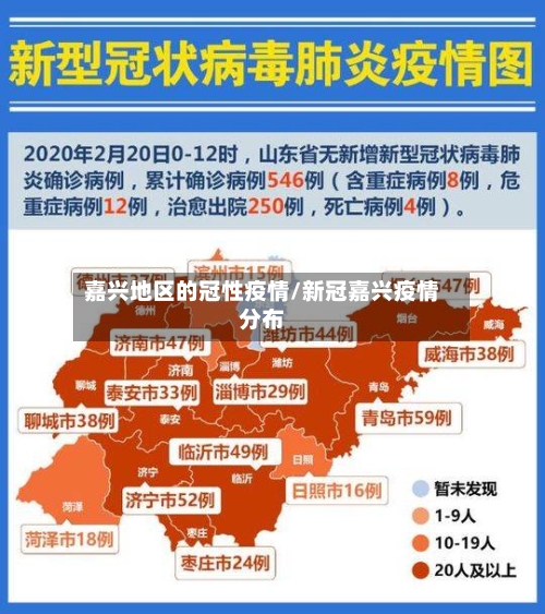 嘉兴地区的冠性疫情/新冠嘉兴疫情分布-第3张图片