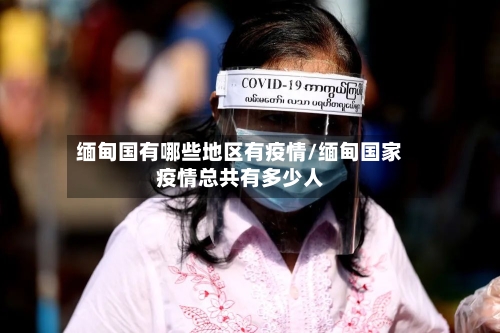 缅甸国有哪些地区有疫情/缅甸国家疫情总共有多少人-第2张图片