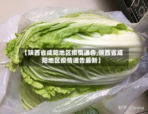 【陕西省咸阳地区疫情通告,陕西省咸阳地区疫情通告最新】