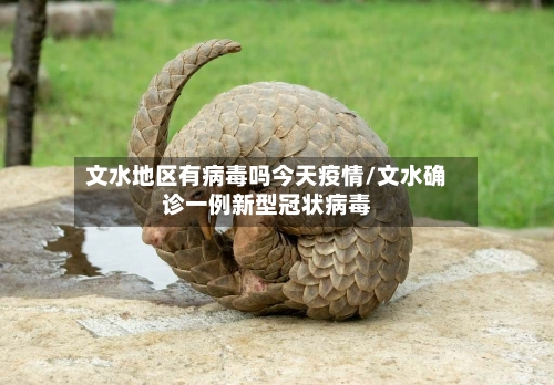 文水地区有病毒吗今天疫情/文水确诊一例新型冠状病毒-第2张图片