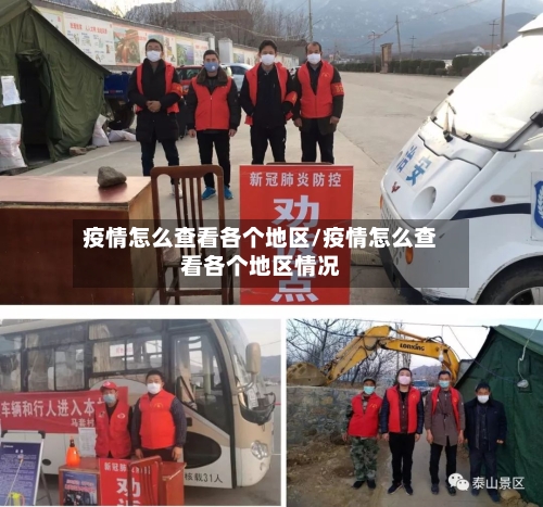 疫情怎么查看各个地区/疫情怎么查看各个地区情况-第2张图片