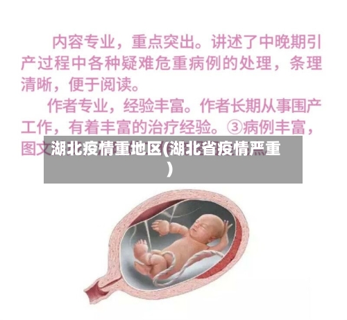 湖北疫情重地区(湖北省疫情严重)