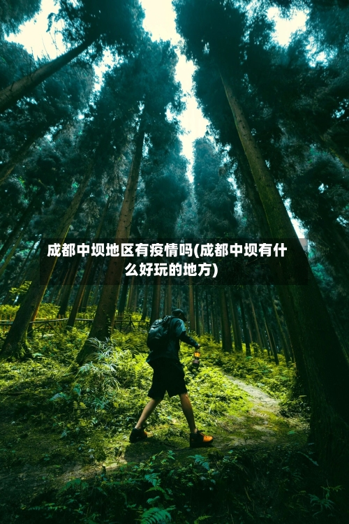 成都中坝地区有疫情吗(成都中坝有什么好玩的地方)-第2张图片