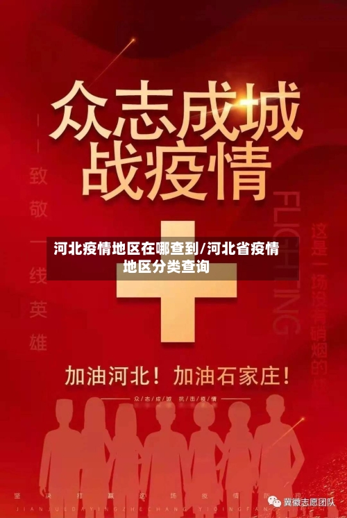 河北疫情地区在哪查到/河北省疫情地区分类查询