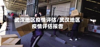 武汉地区疫情评估/武汉地区疫情评估报告