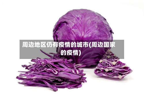 周边地区仍有疫情的城市(周边国家的疫情)-第3张图片