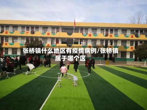 张桥镇什么地区有疫情病例/张桥镇属于哪个区-第3张图片