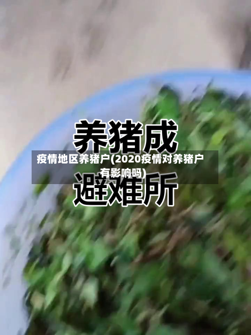疫情地区养猪户(2020疫情对养猪户有影响吗)-第2张图片