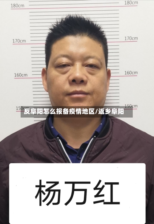 反阜阳怎么报备疫情地区/返乡阜阳-第2张图片