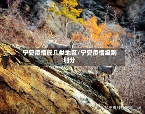 宁夏疫情属几类地区/宁夏疫情级别划分-第2张图片