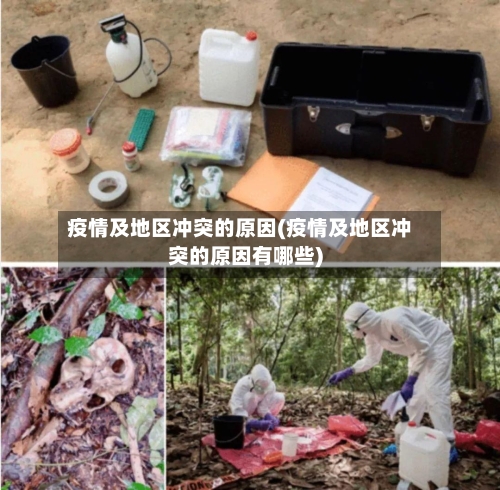 疫情及地区冲突的原因(疫情及地区冲突的原因有哪些)-第2张图片