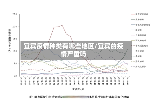 宜宾疫情种类有哪些地区/宜宾的疫情严重吗-第2张图片