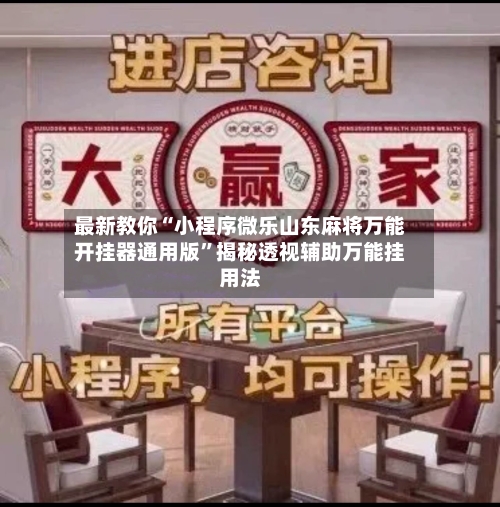 最新教你“小程序微乐山东麻将万能开挂器通用版”揭秘透视辅助万能挂用法-第2张图片