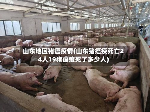 山东地区猪瘟疫情(山东猪瘟疫死亡24人19猪瘟疫死了多少人)