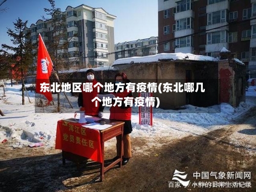 东北地区哪个地方有疫情(东北哪几个地方有疫情)