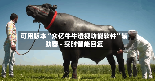 可用版本“众亿牛牛透视功能软件”辅助器 - 实时智能回复