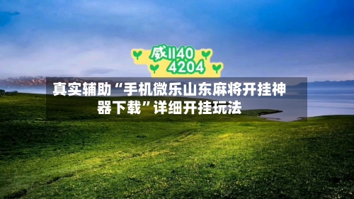 真实辅助“手机微乐山东麻将开挂神器下载”详细开挂玩法-第3张图片