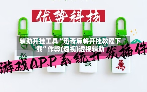 辅助开挂工具“迅奇麻将开挂教程下载”作弊(透视)透视辅助-第2张图片