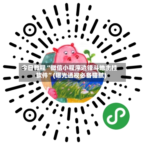 今日教程“微信小程序边锋斗地主挂软件”(曝光透视必备猫腻)-第3张图片