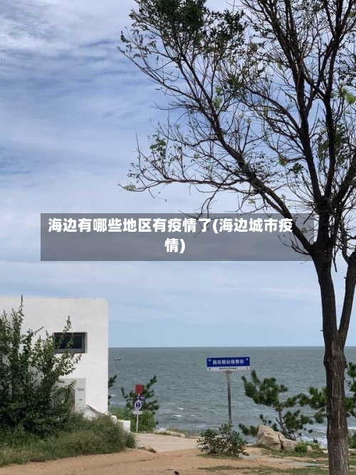海边有哪些地区有疫情了(海边城市疫情)